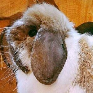 Meet your Posher, Marinda